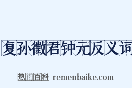 复孙徵君钟元反义词是什么意思的图片